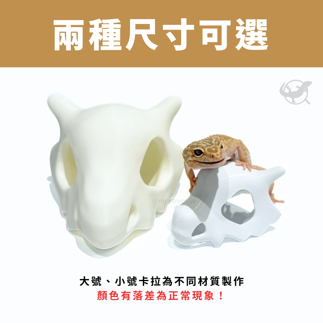 卡拉卡拉造型擺設