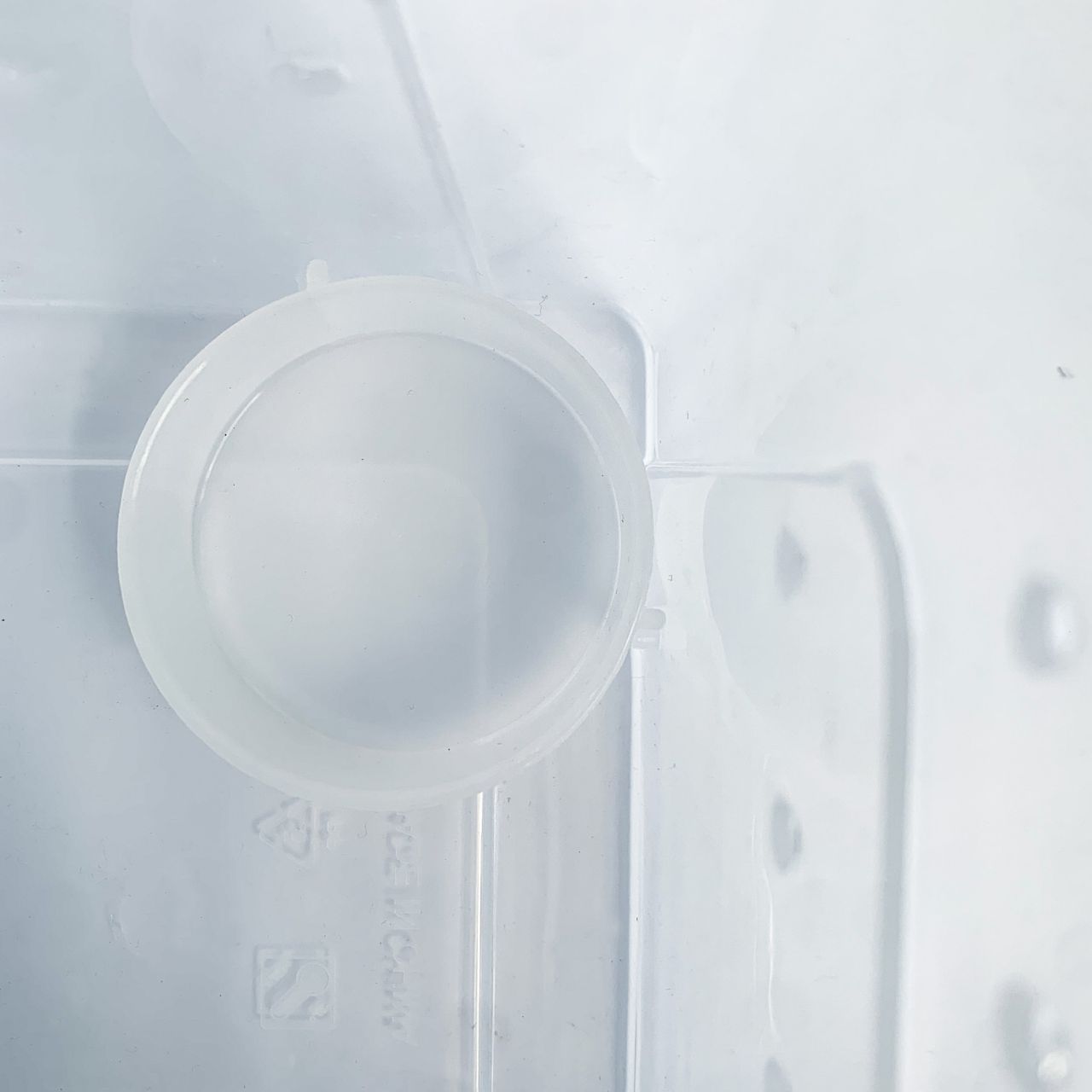 IMG_3870_jpg.JPG 爬蟲飼養盒-2