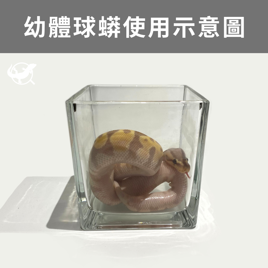 蛇蛇飲水／泡澡玻璃杯