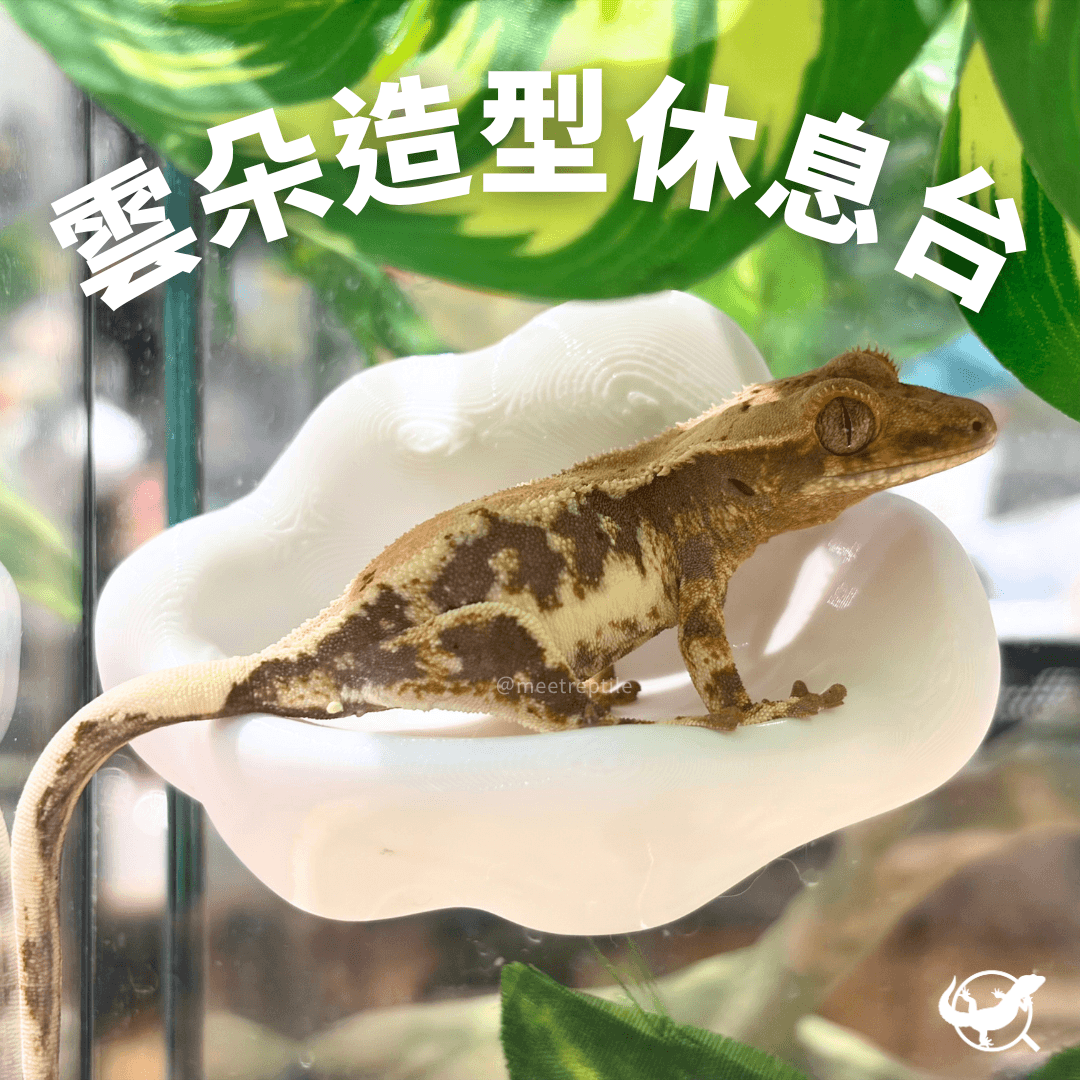 雲朵造型休息台