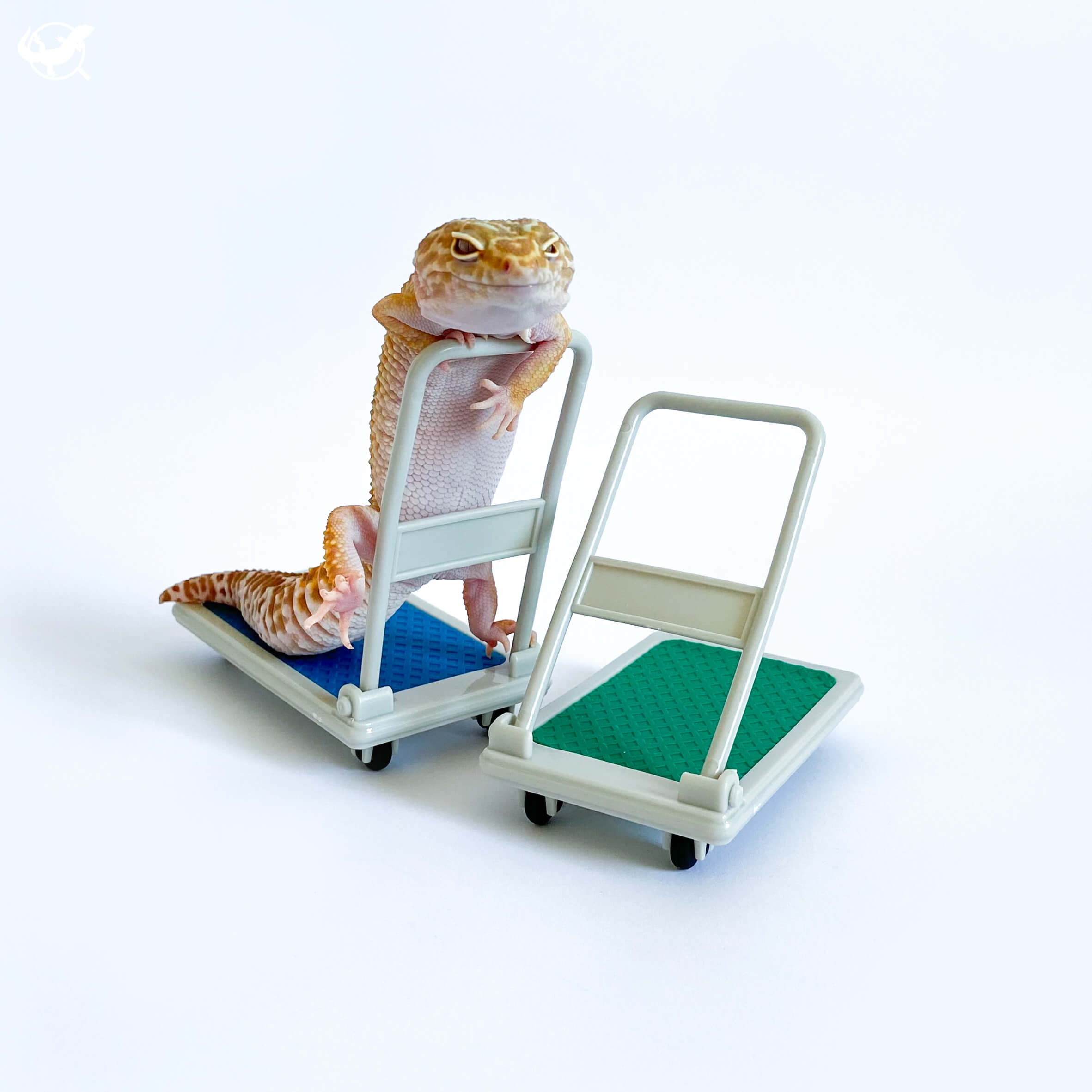 爬蟲小推車 爬蟲小推車