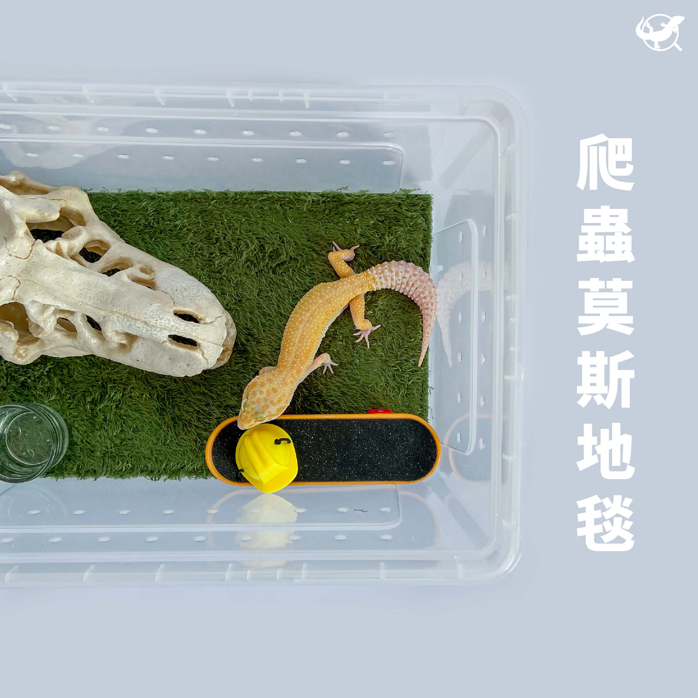 爬蟲莫斯地毯 爬蟲莫斯地毯