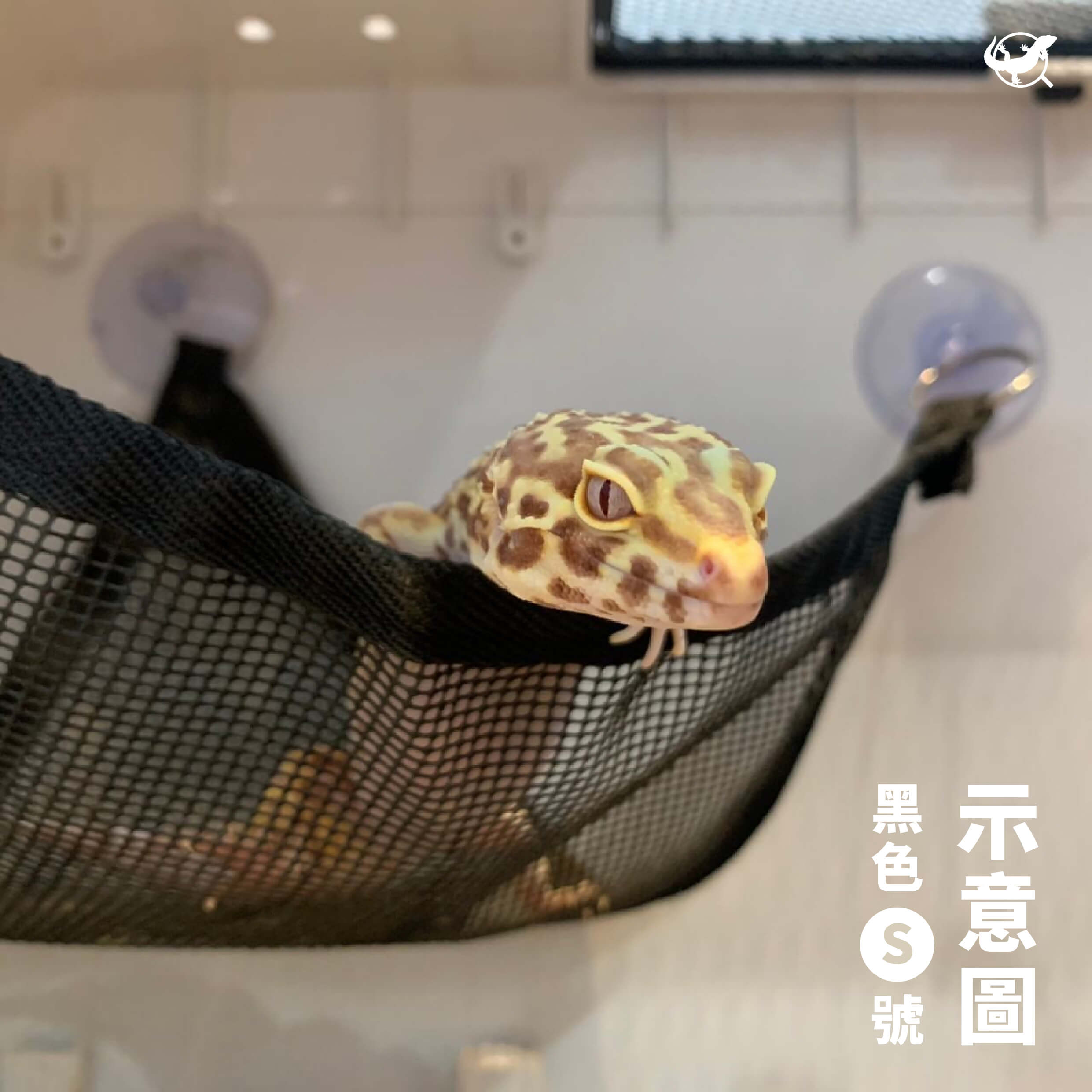 爬蟲吊床 爬蟲吊床