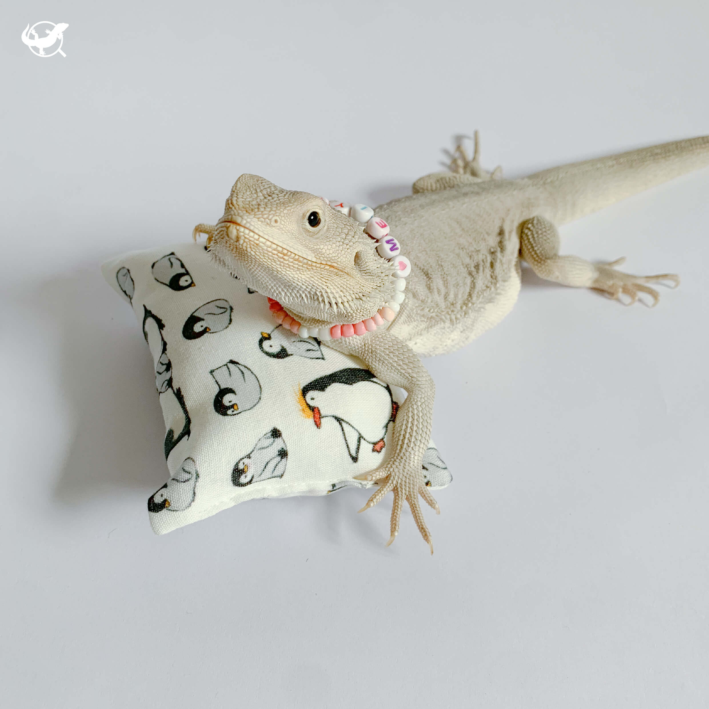 爬蟲枕頭 - 大號示意圖