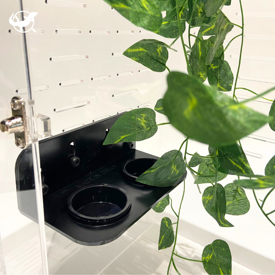 樹棲爬蟲懸掛式食水盆 樹棲爬蟲懸掛式食水盆