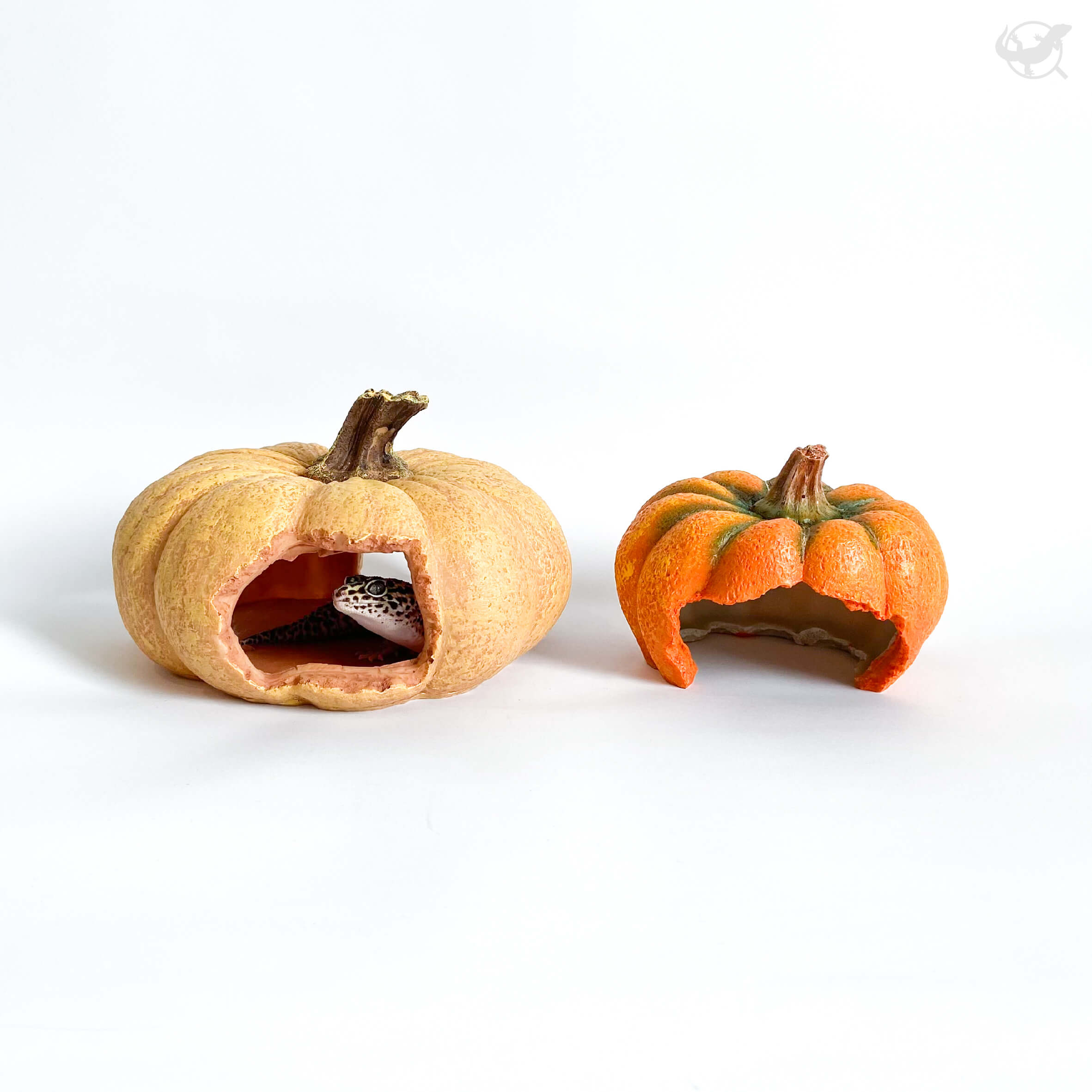 爬蟲南瓜躲避屋 爬蟲南瓜躲避屋