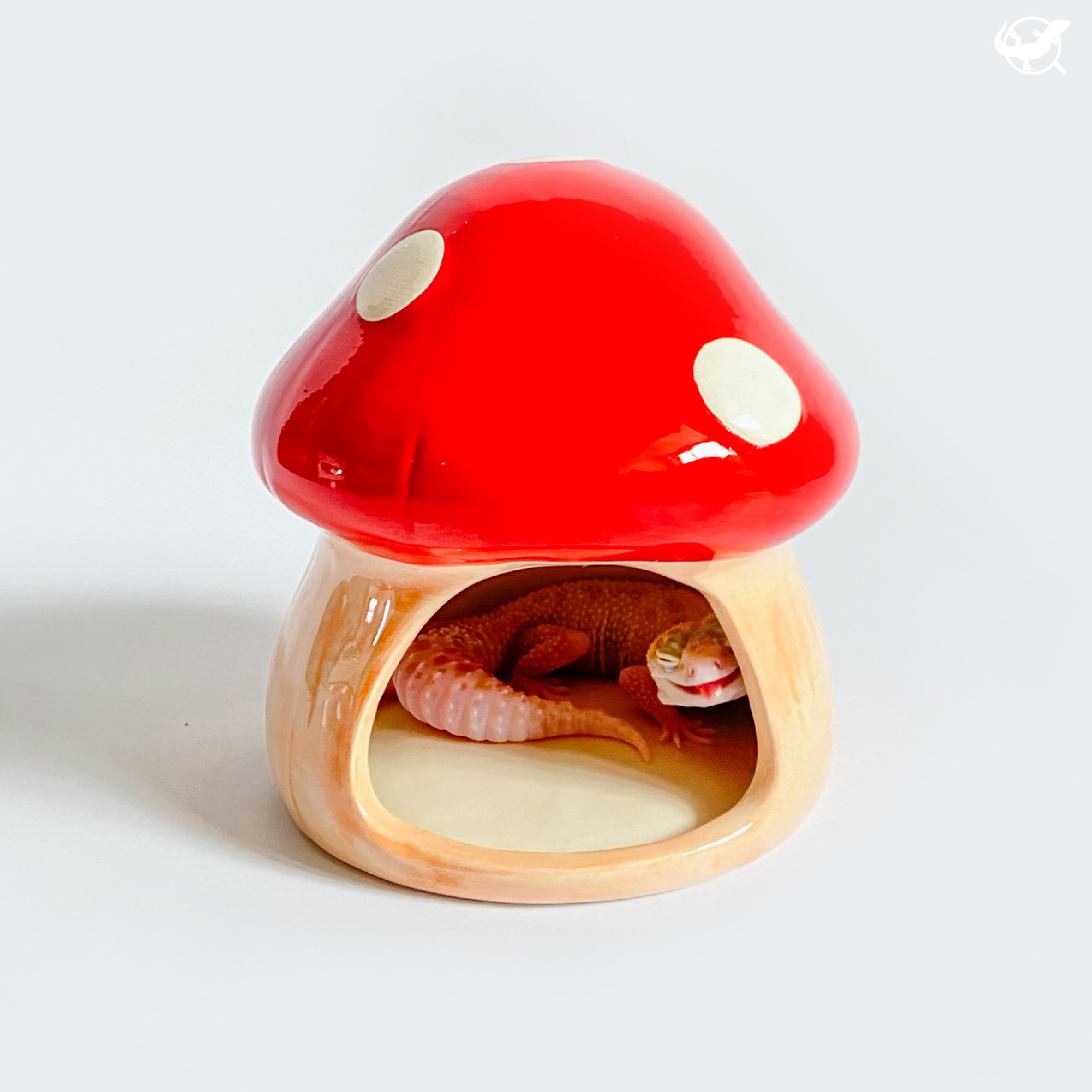 爬蟲蘑菇躲避屋＋水盆