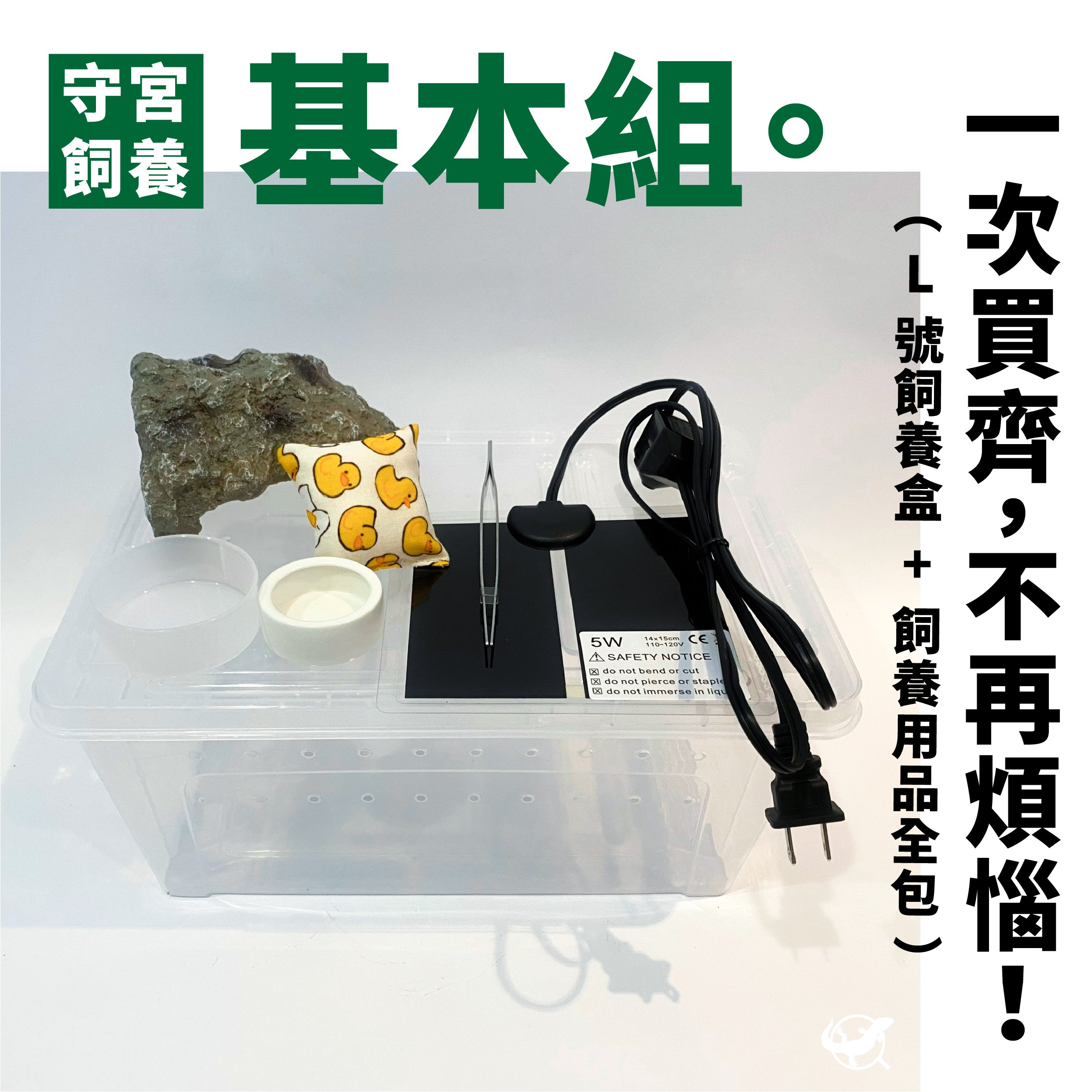 守宮飼養基本組 守宮飼養基本組