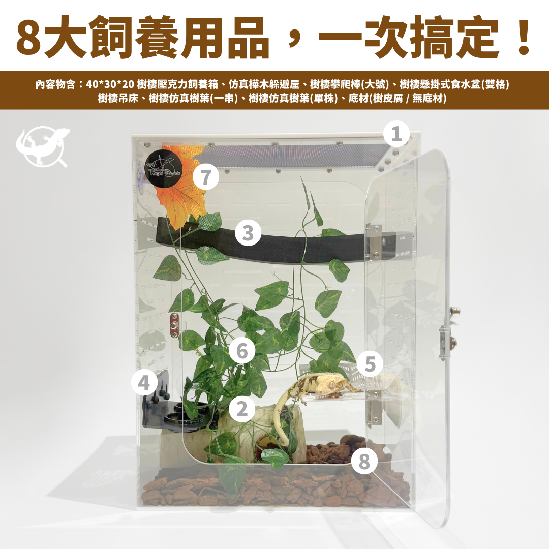 樹棲守宮飼養套組（睫角、蓋勾亞適用）