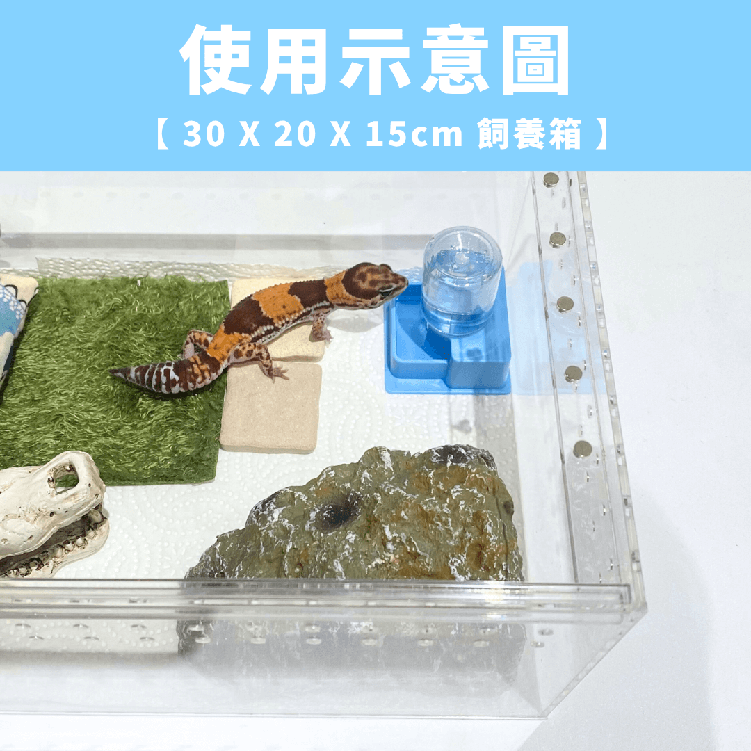 守宮自動飲水器