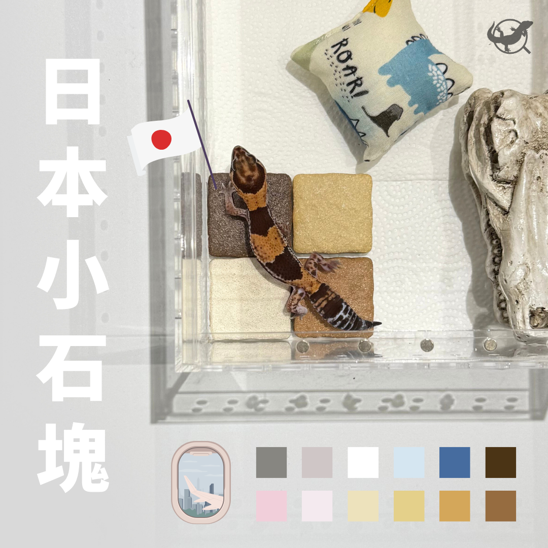 日本小石塊(守宮脫皮、磨甲必備) 日本小石塊(守宮脫皮、磨甲必備)