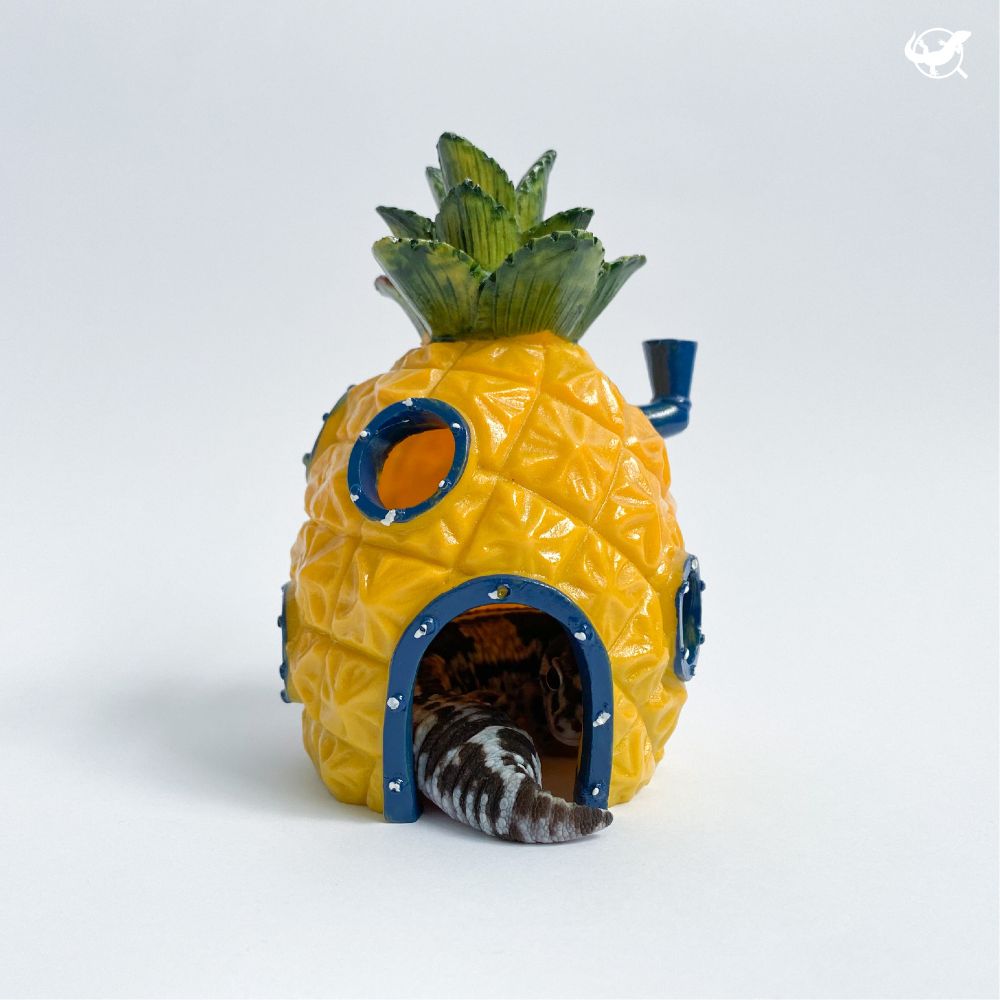 海綿寶寶鳳梨屋