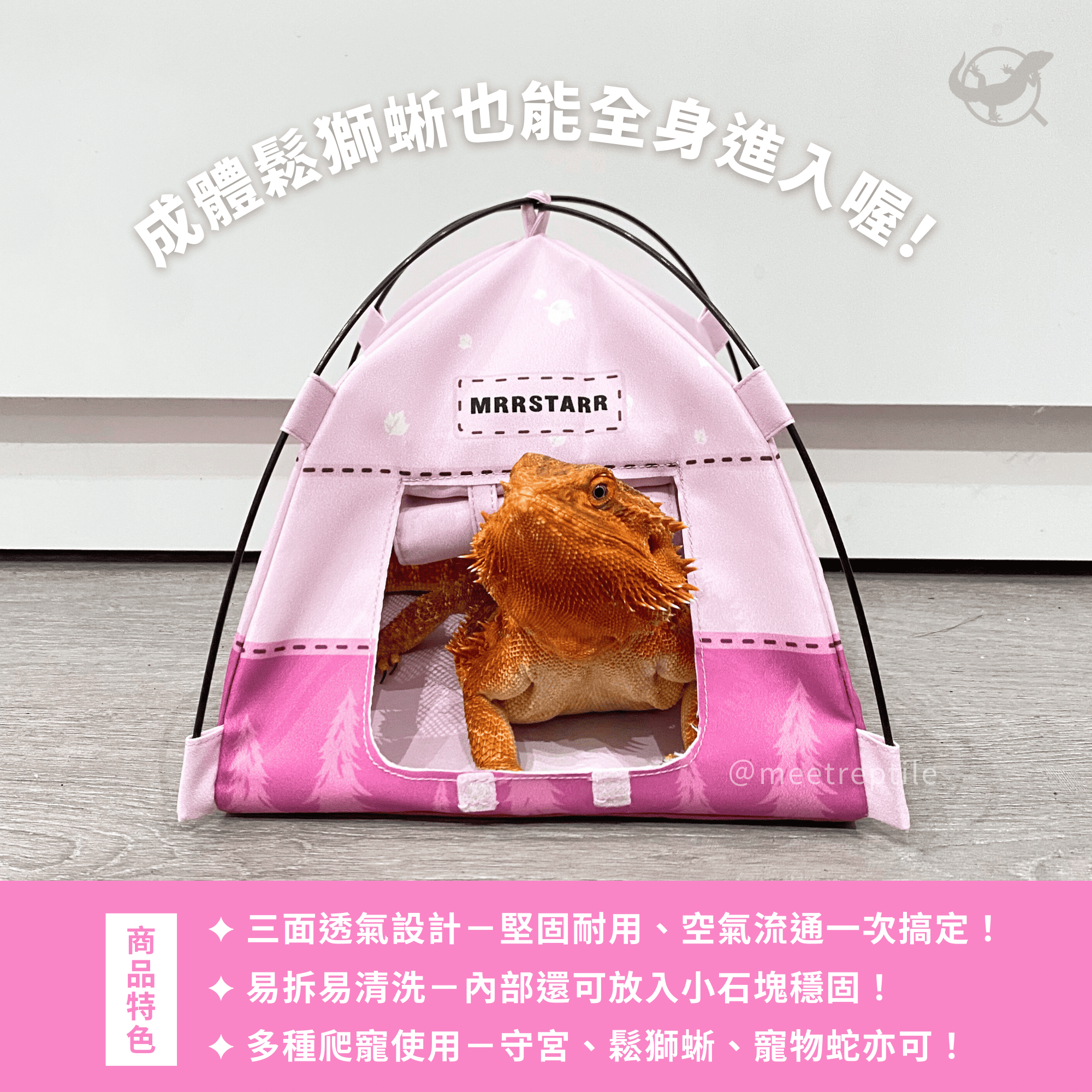 爬寵帳篷躲避屋