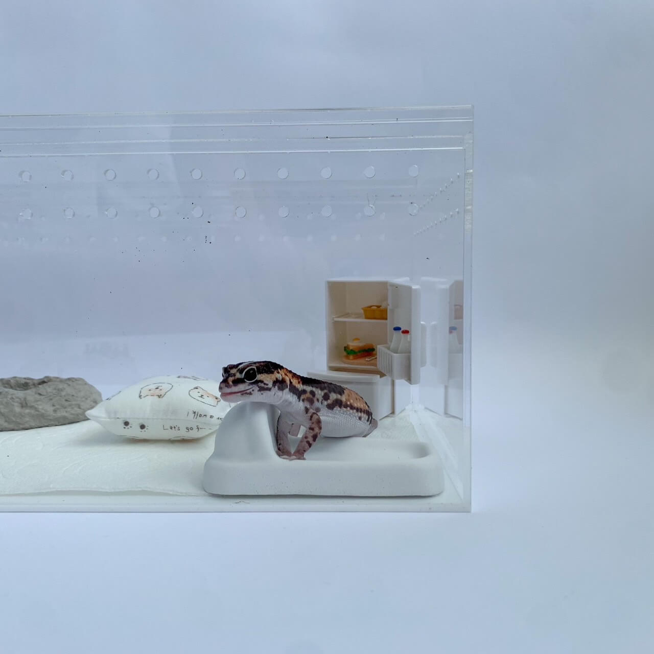 守宮馬桶使用示意圖