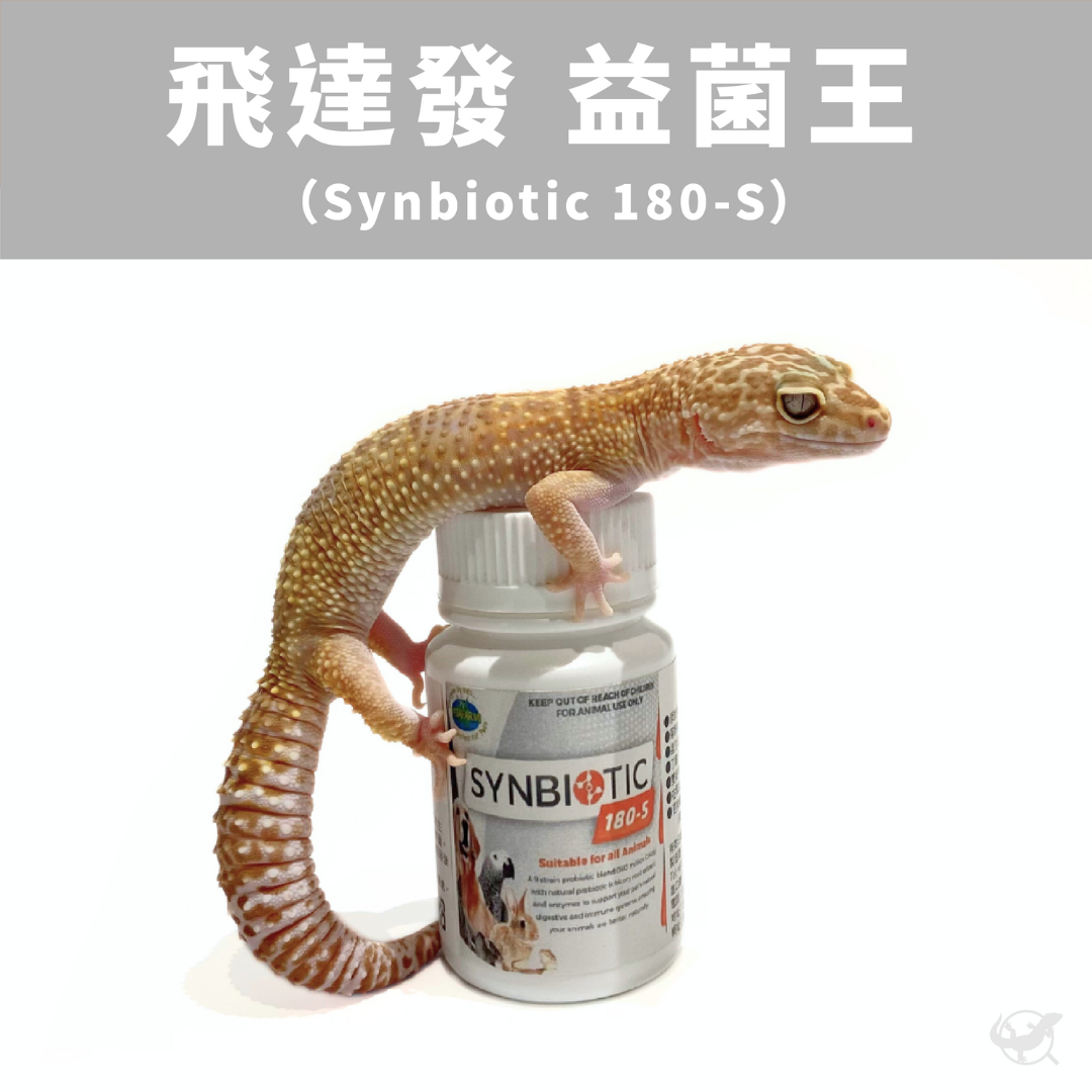 澳洲飛達發 益菌王 澳洲飛達發 益菌王