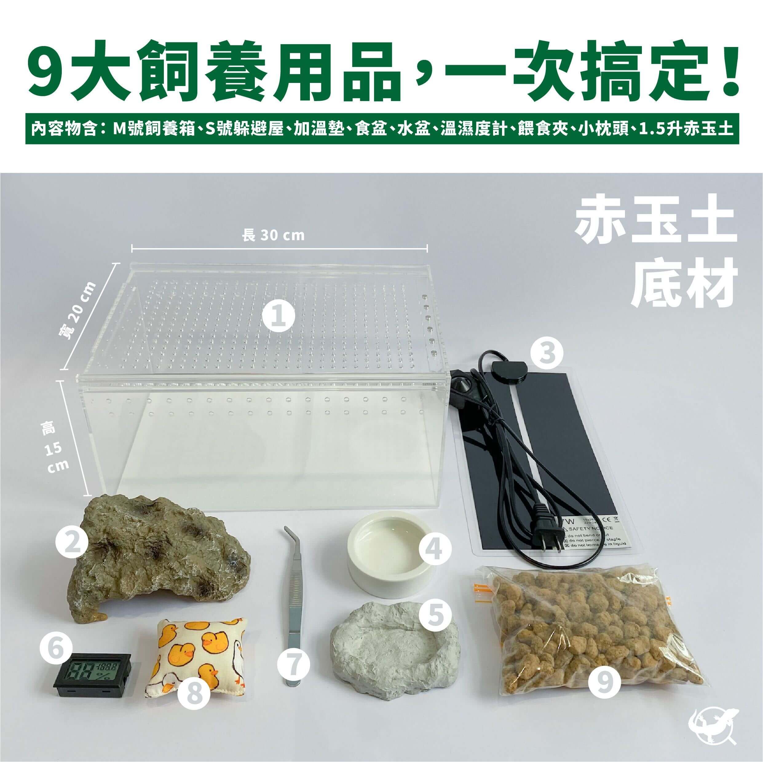 守宮飼養入門組