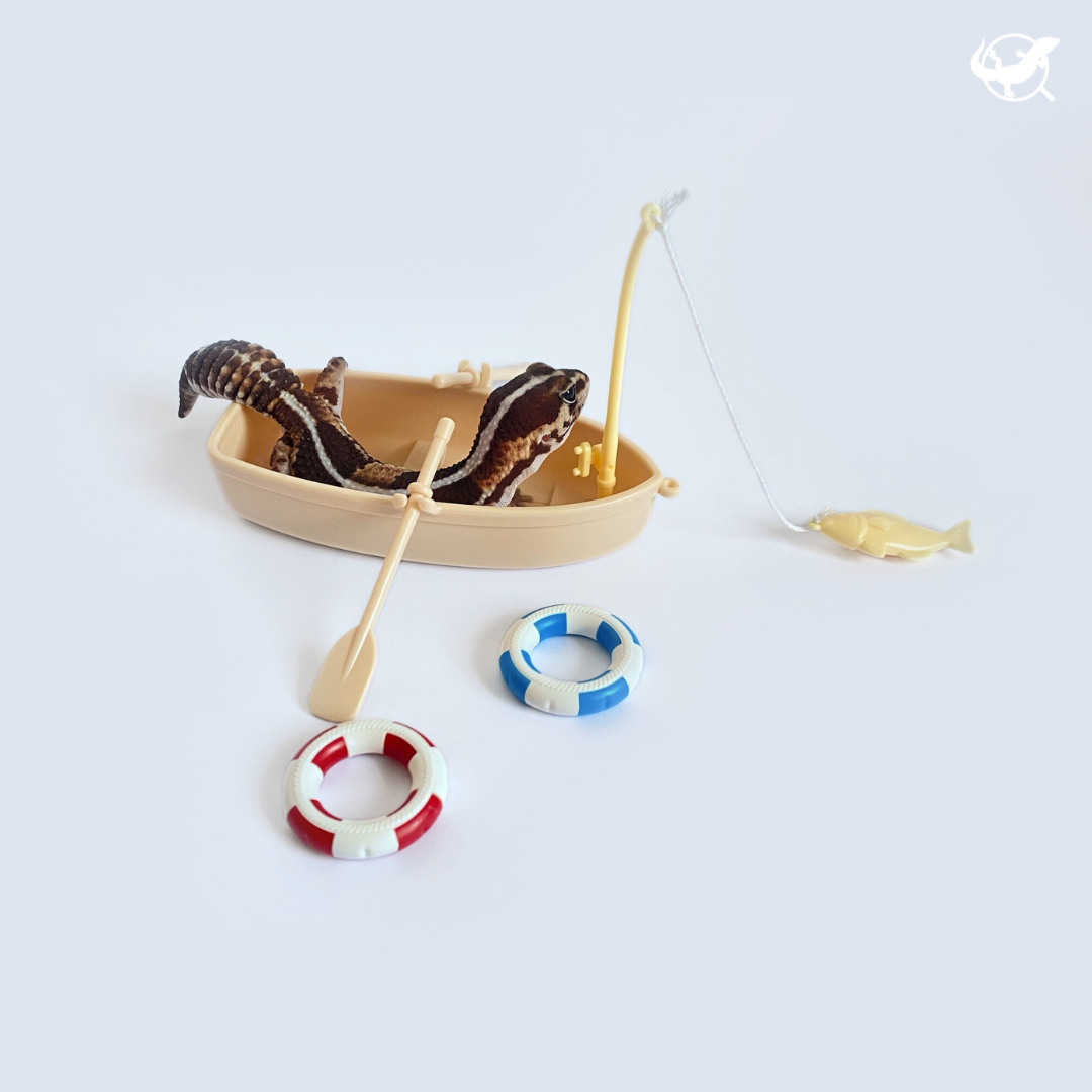 守宮迷你小船擺設 守宮迷你小船擺設