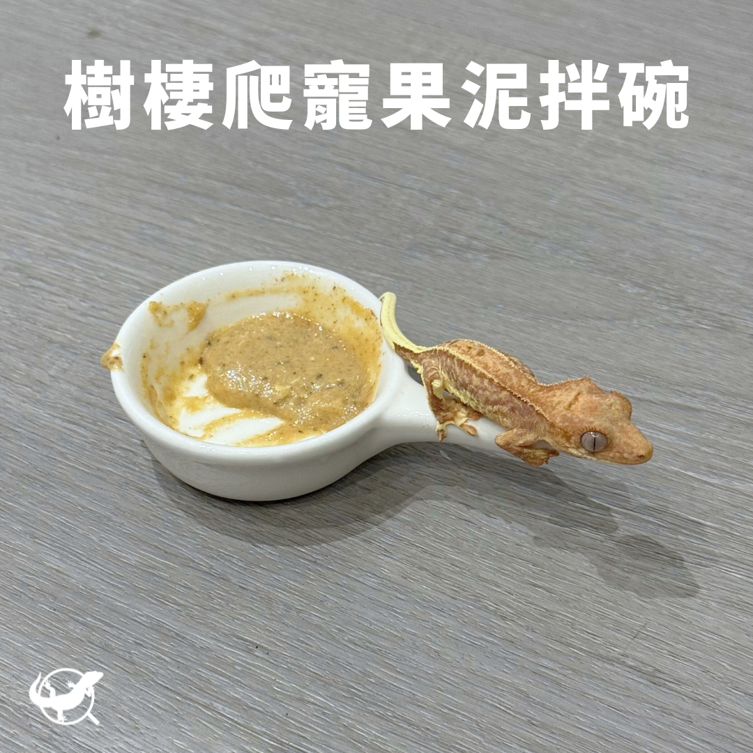 樹棲爬寵果拌碗 樹棲爬寵果拌碗