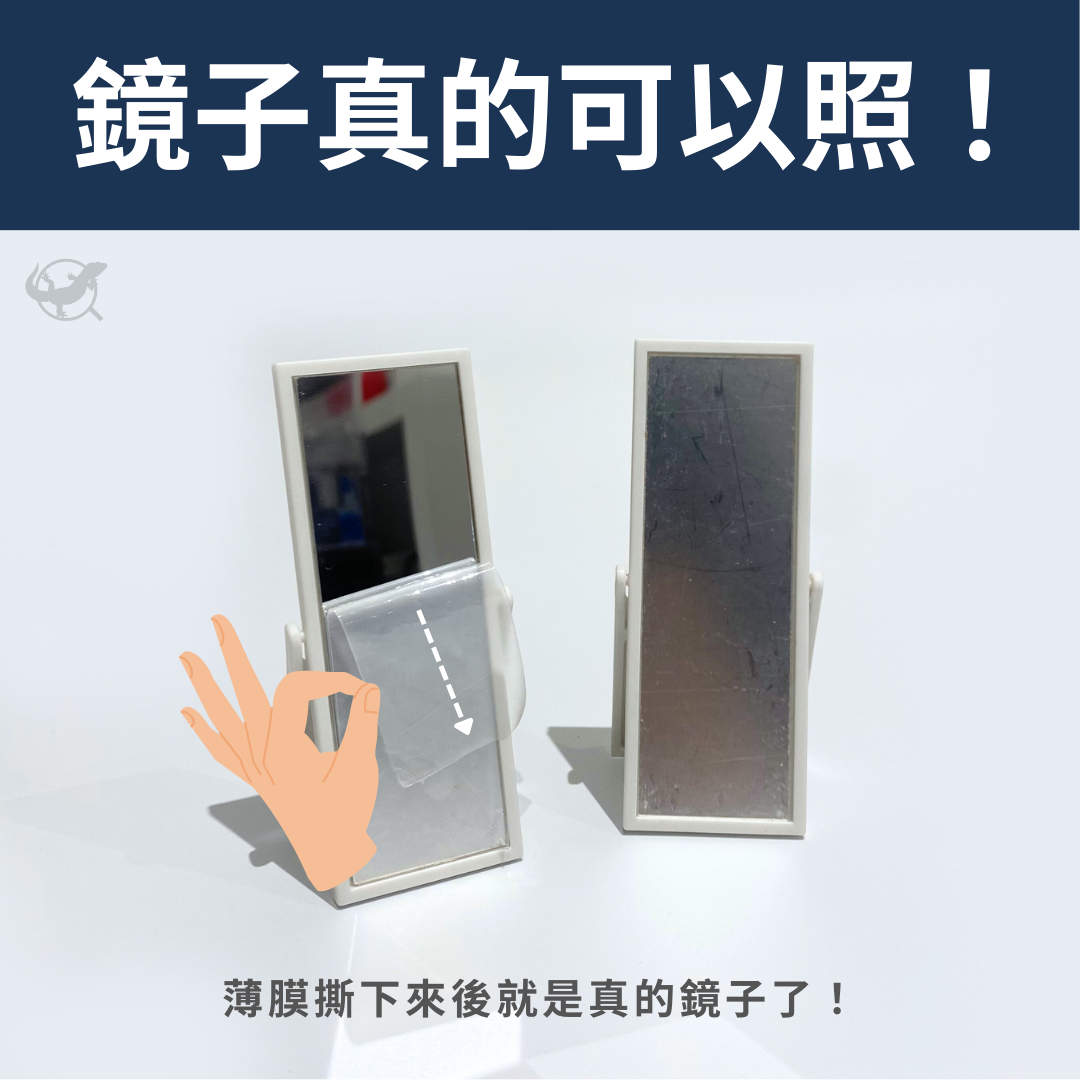 守宮迷你鏡子擺設