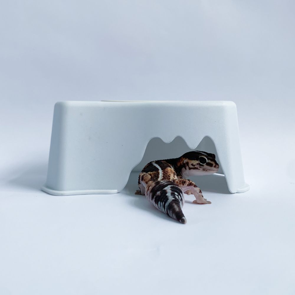 黑白加濕躲避屋