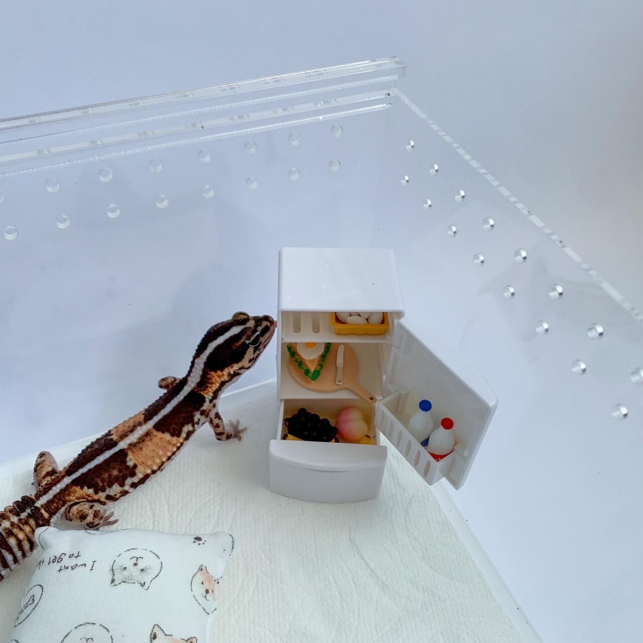 爬蟲冰箱可樂擺設組