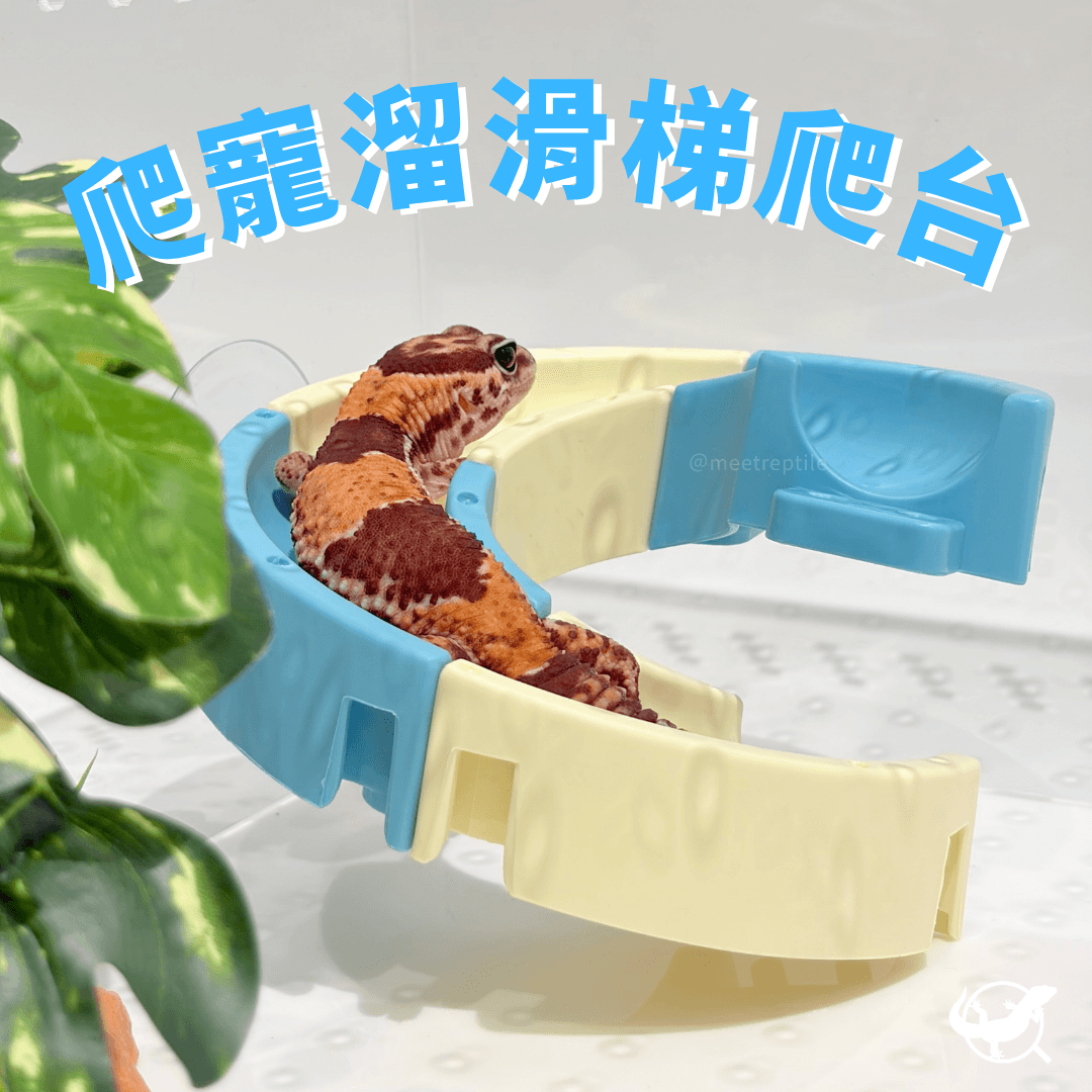 爬寵溜滑梯爬台 爬寵溜滑梯爬台