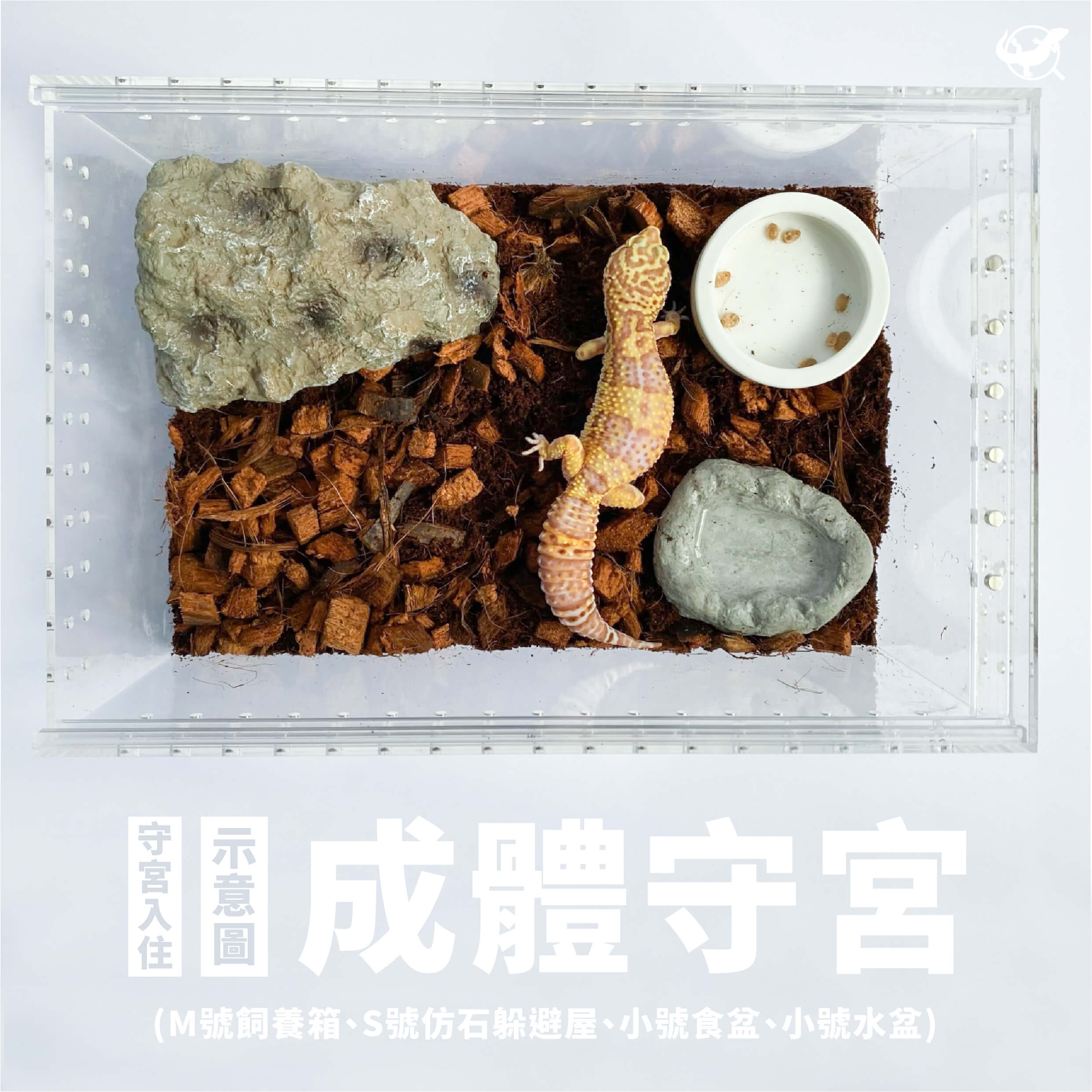 守宮入住示意圖