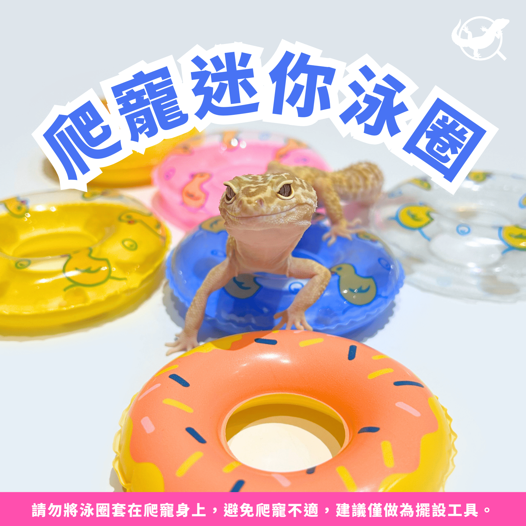爬寵迷你泳圈 爬寵迷你泳圈