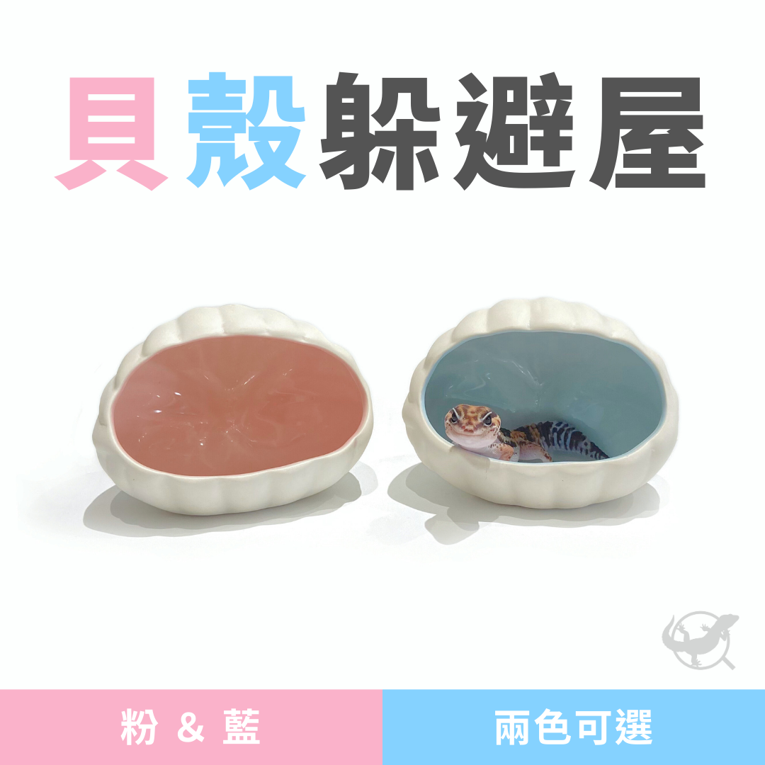 爬蟲貝殼躲避屋 爬蟲貝殼躲避屋