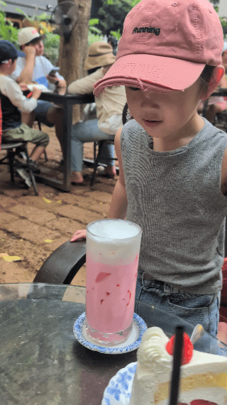 做舊鴨舌帽 (多色)