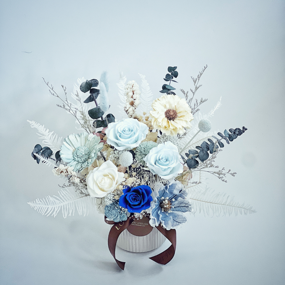 藍色情挑永生玫瑰盆花(中型）