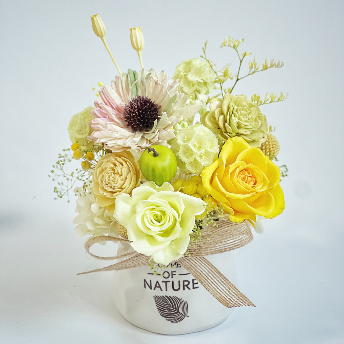 蘋安幸福永生玫瑰小盆花