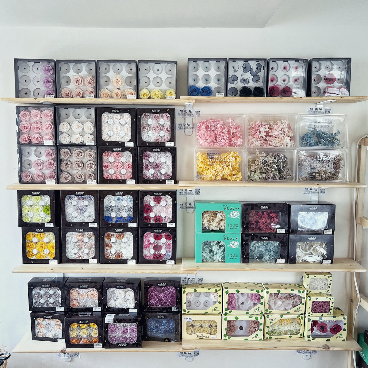 【兩人成團享優惠】永生玫瑰小盆花單品課