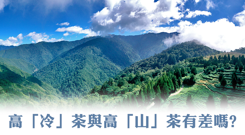 高「冷」茶與高「山」茶有差嗎?