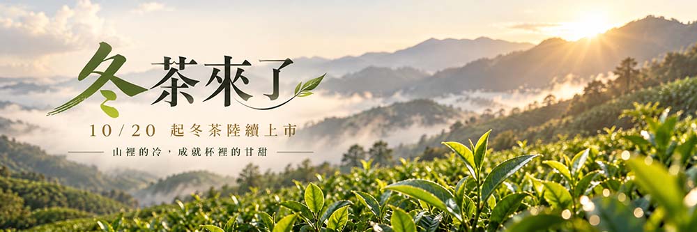 冬茶即將上市