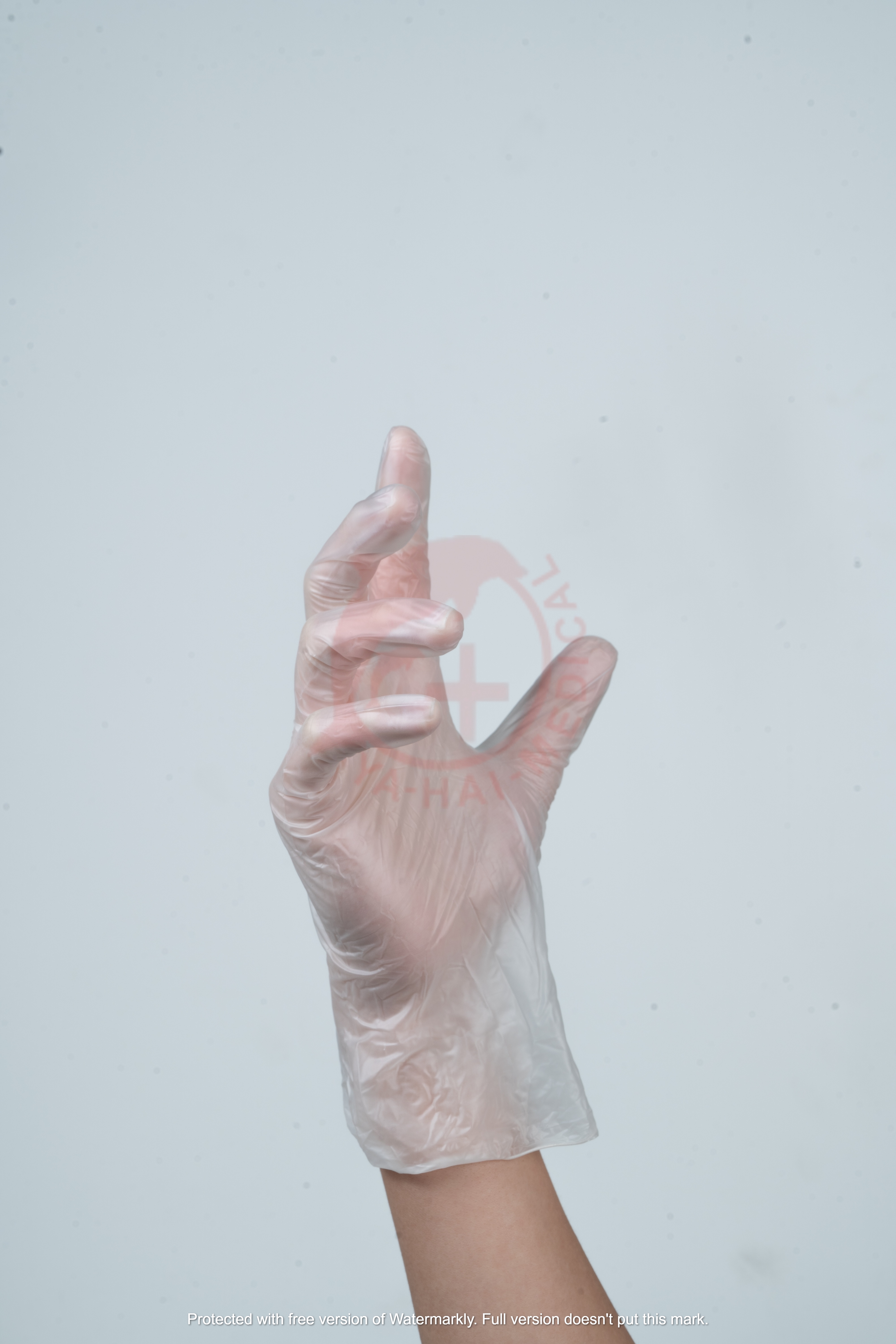 PVC檢診手套   100入 / 盒