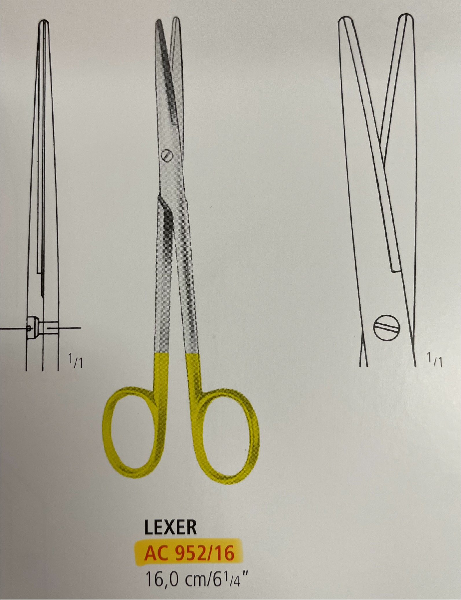 CARDINALE/LEXER SCISSORS TUC