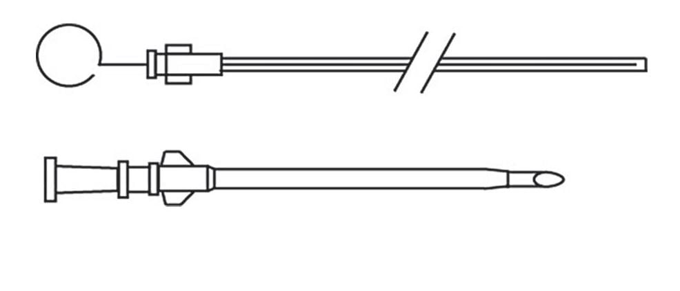 Transtracheal Technique: Medium to Large Dogs