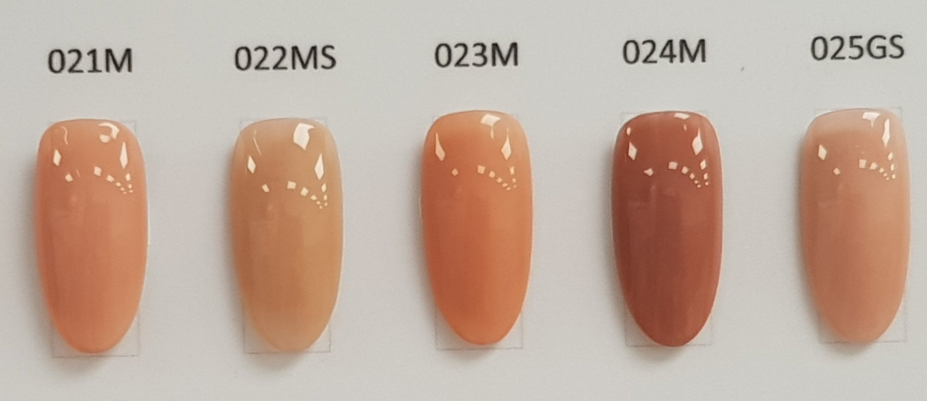 Ricca｜彩色凝膠3g（21-30）