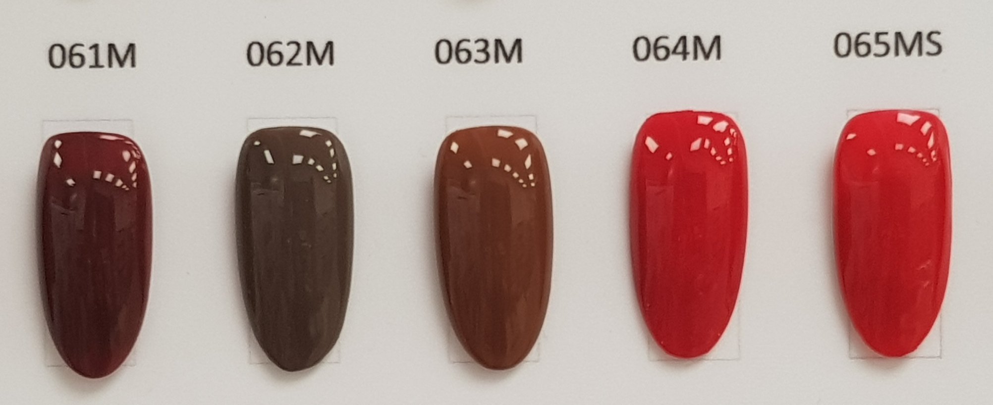 Ricca｜彩色凝膠3g（61-70）