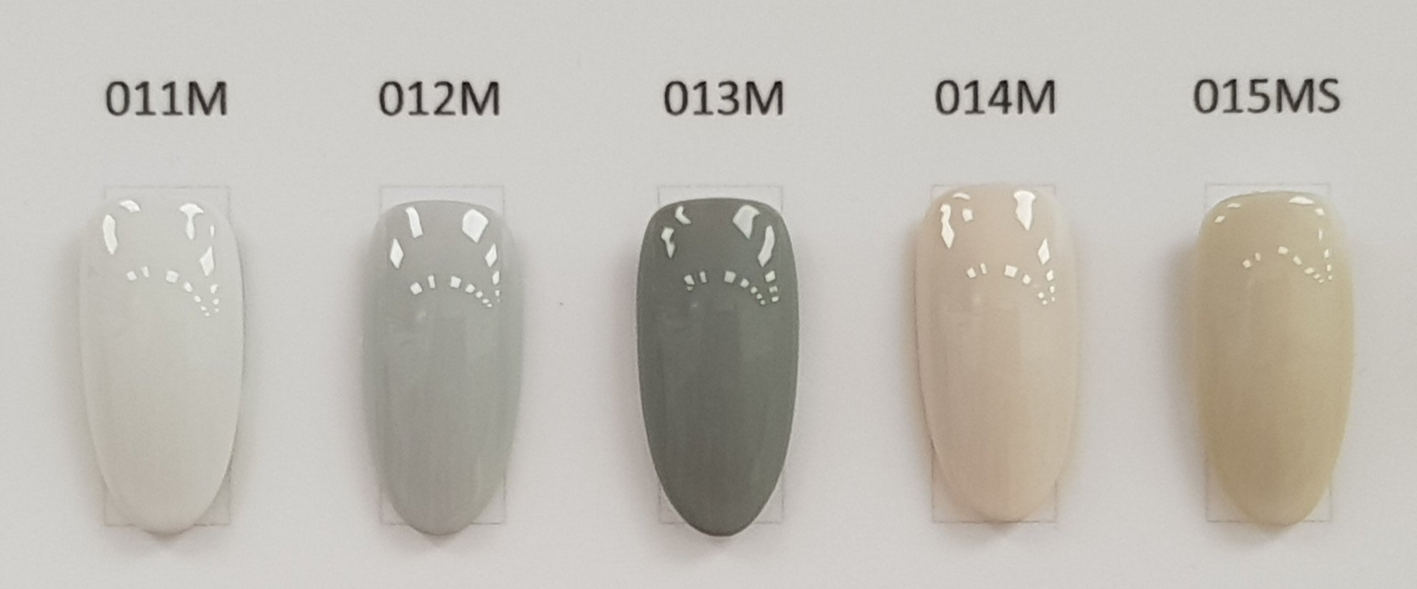 Ricca｜彩色凝膠3g（11-20）