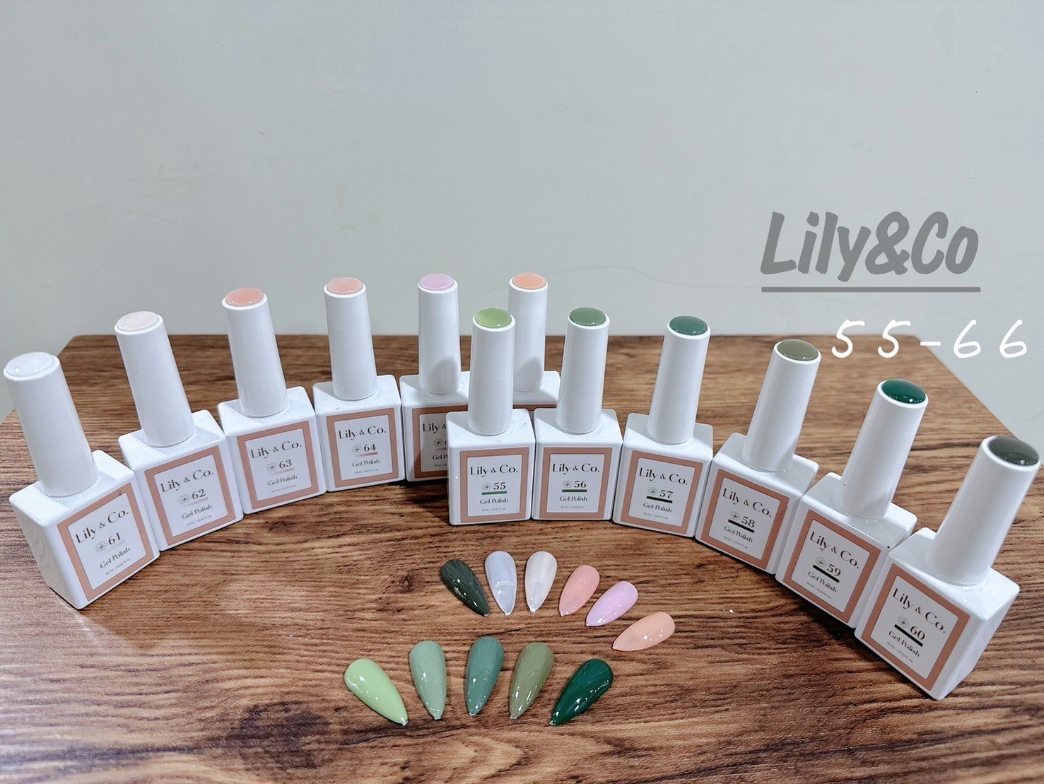 Lily&Co｜純色甲油膠（55-66）