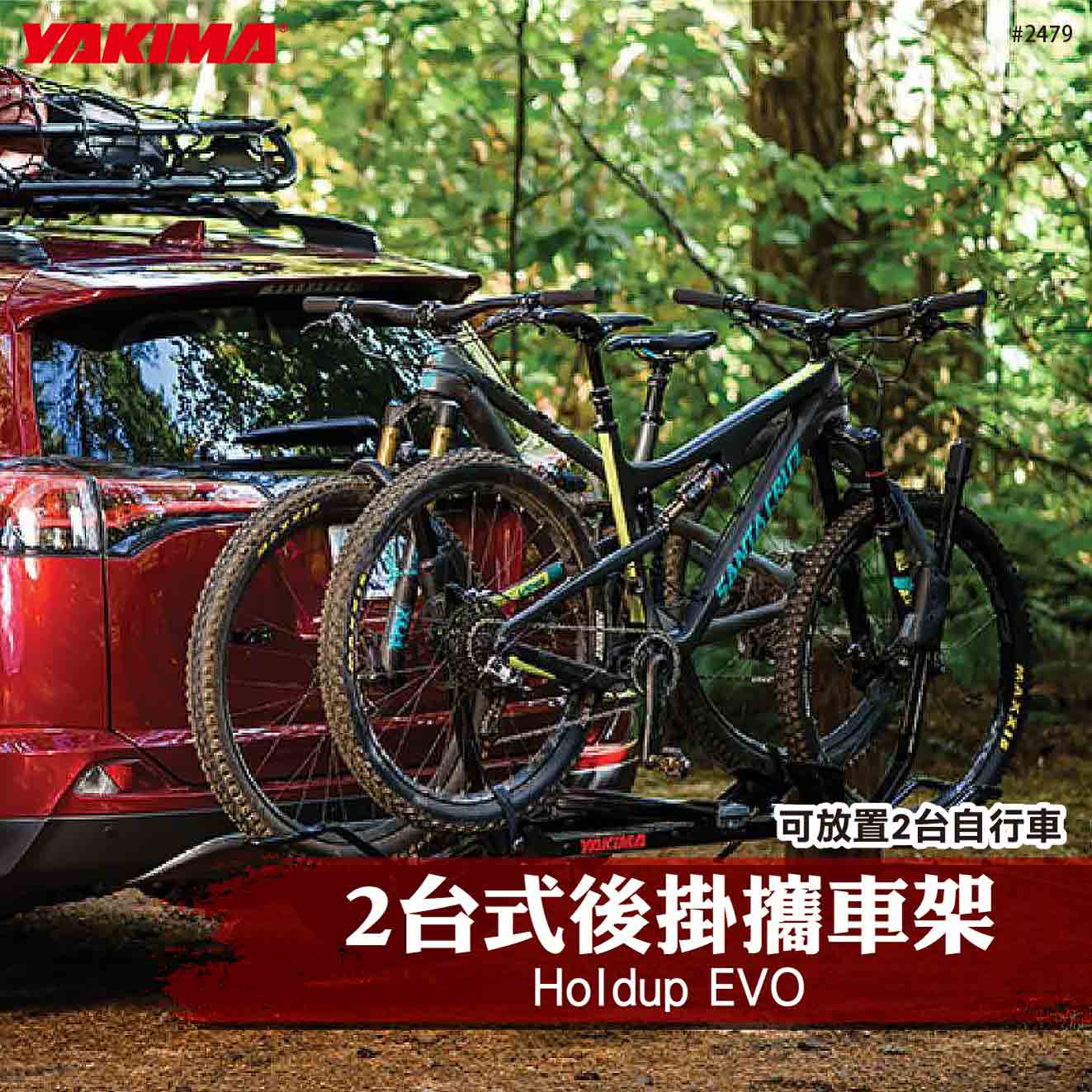2479 HoldUp EVO 2台式後掛攜車架