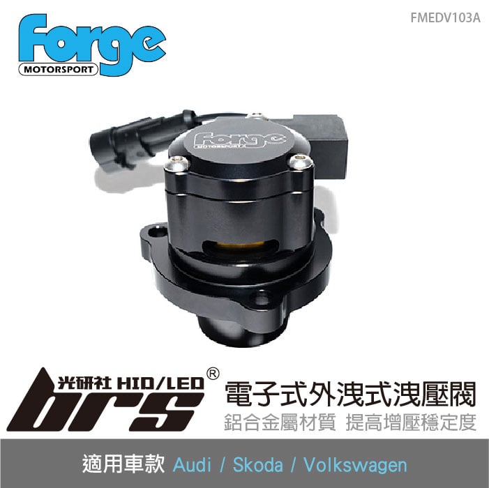 FMEDV103A Forge 外洩式洩壓閥