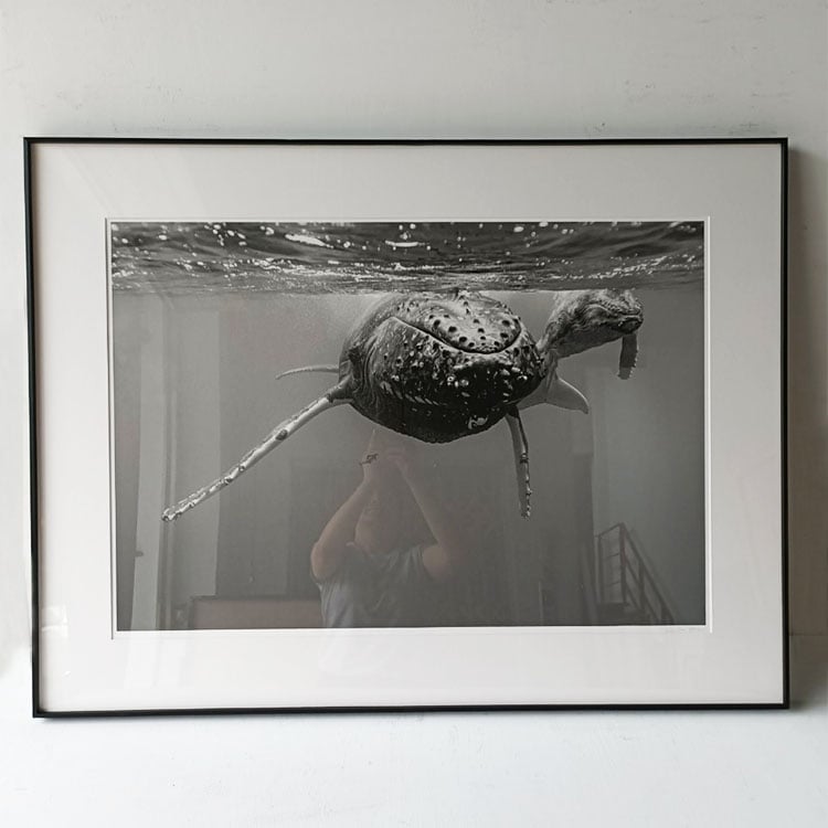 ｜攝影｜鋁框-無酸裝裱