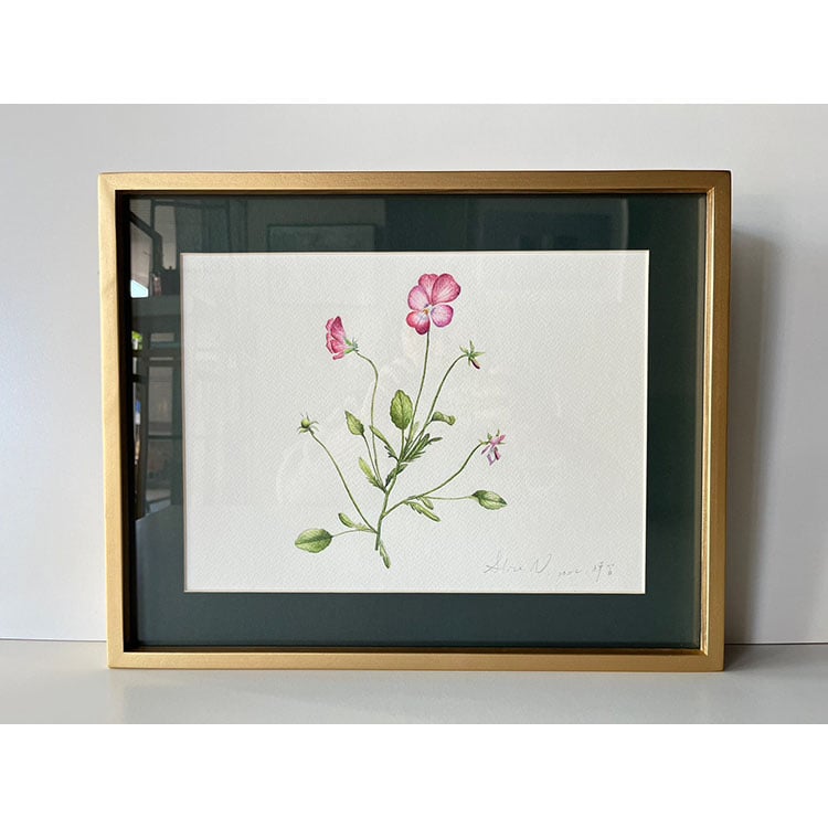 ｜手稿｜#100+薄卡