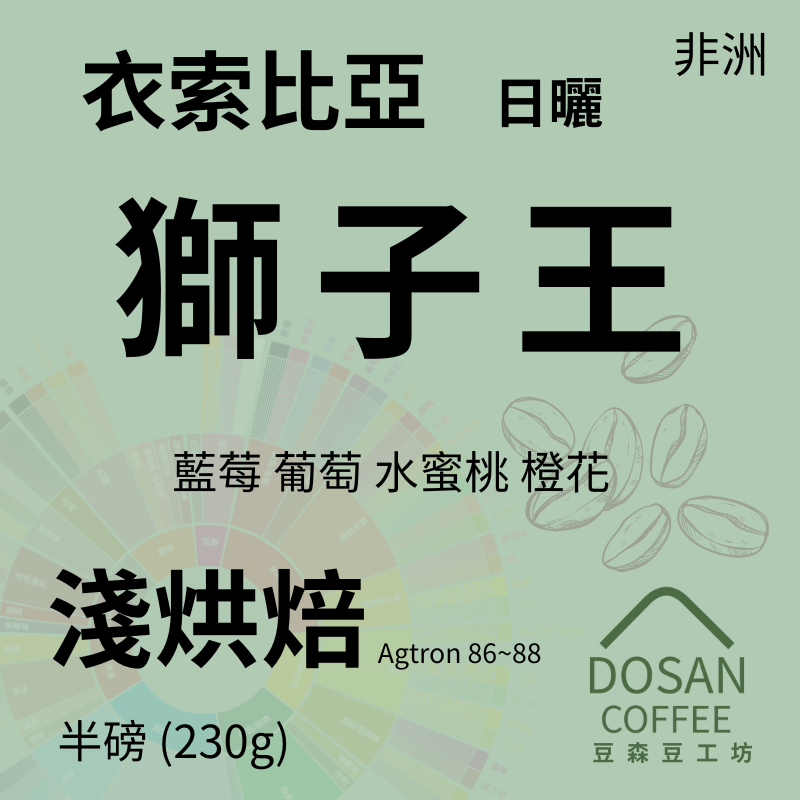 衣索比亞 古吉 安格斯獅子王 日曬處理