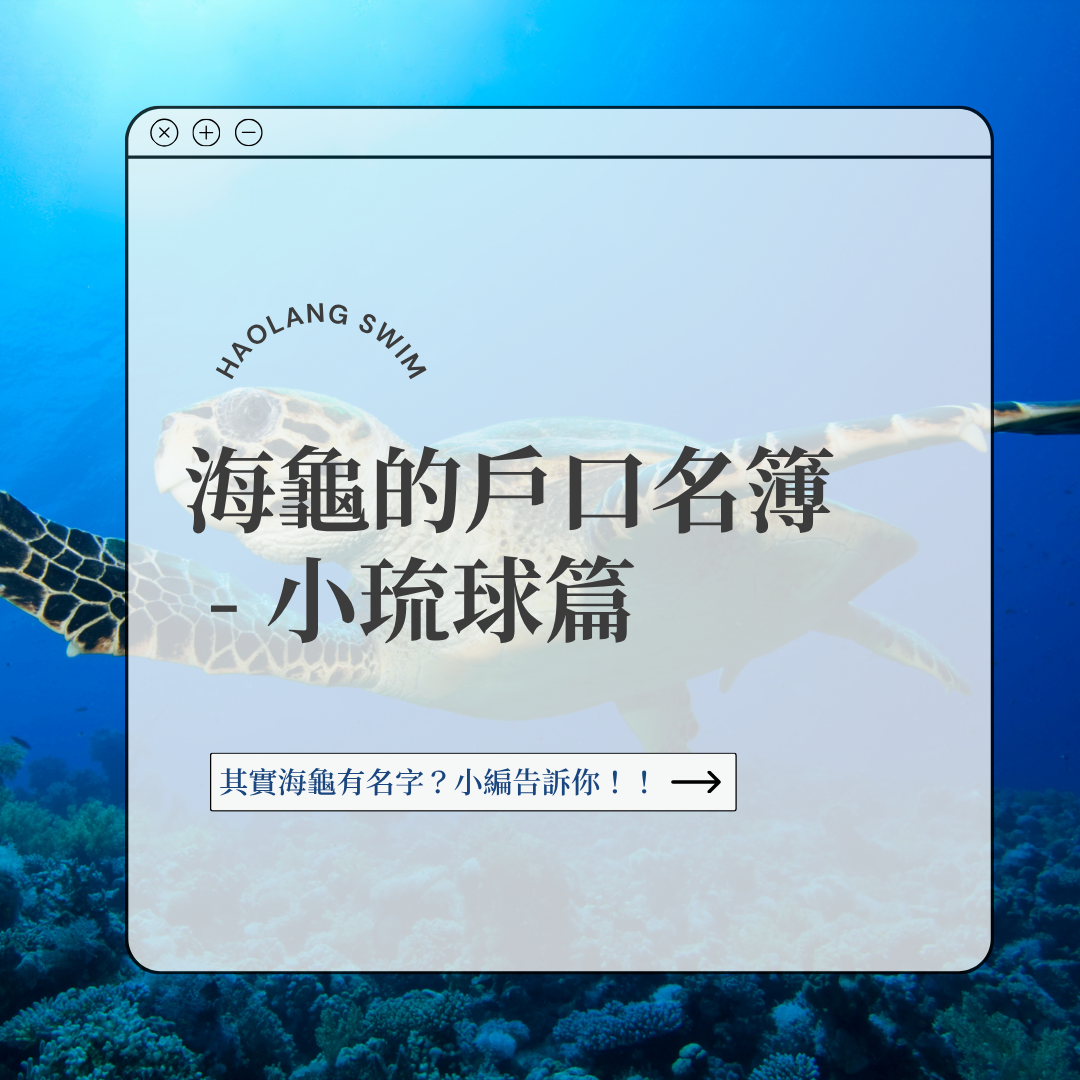 海龜的戶口名簿  - 小琉球篇