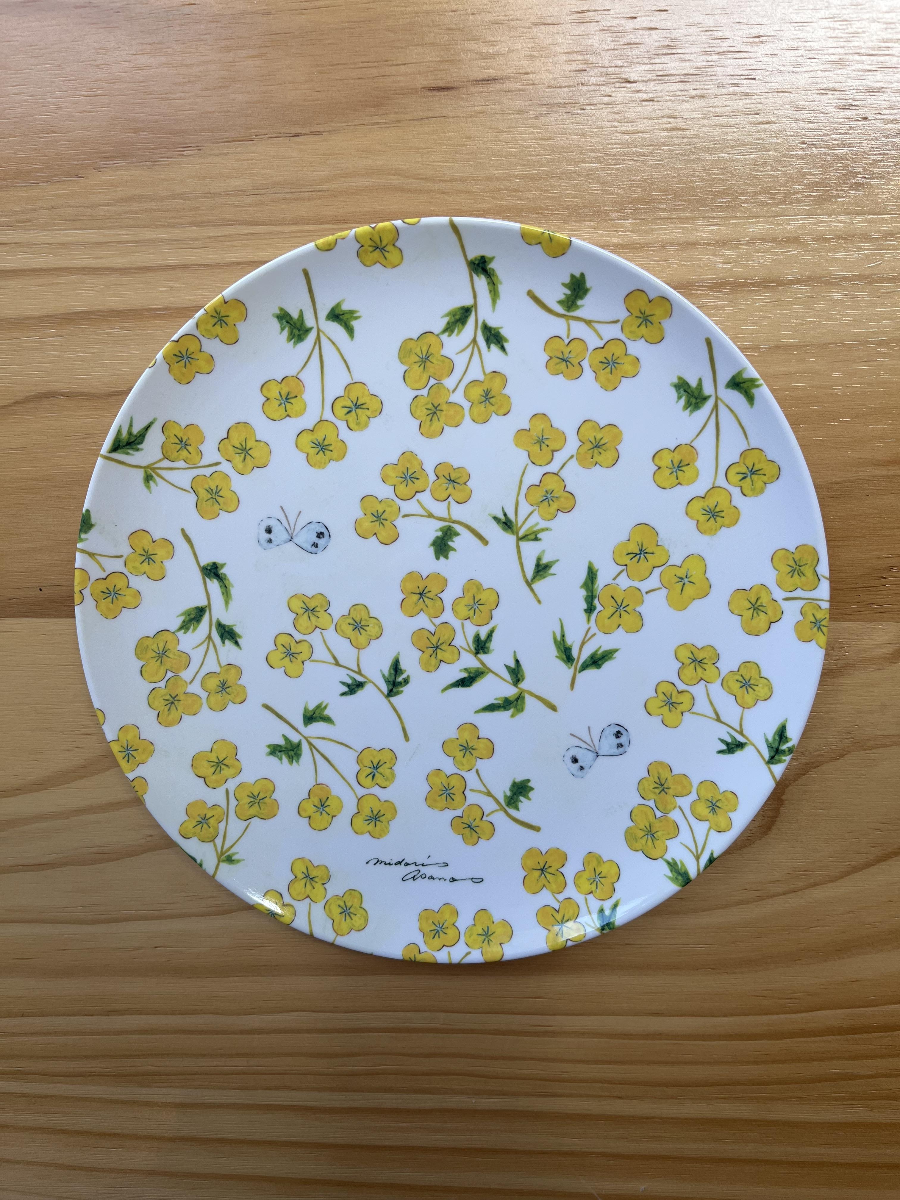 淺野綠 Midori Asano  盤子 quiet afternoon