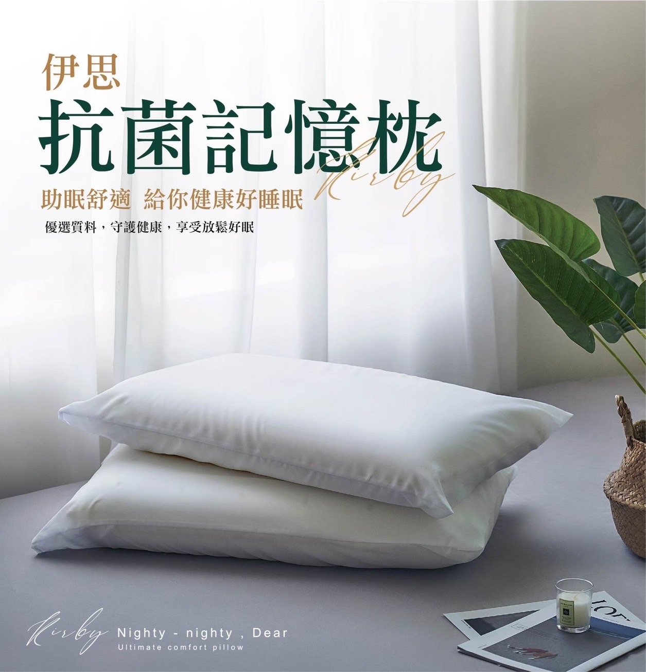 伊思抗菌記憶枕